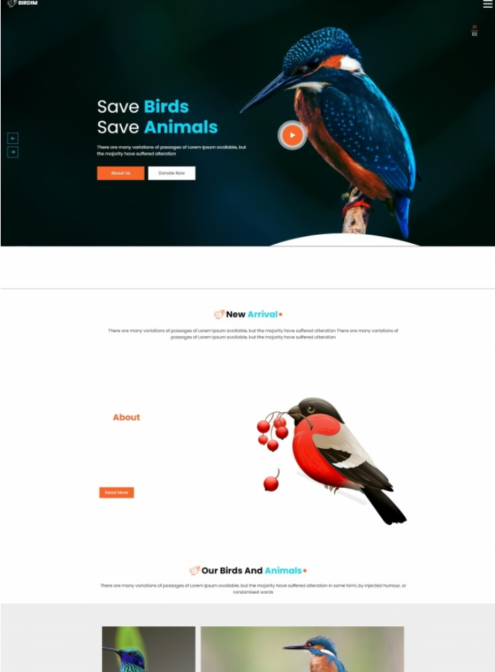 拯救鸟类拯救动物HTML5网站模板